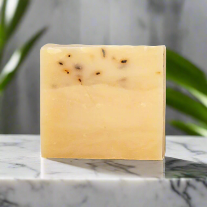 A handcrafted Diaz Beez Eucalyptus Hemp & Tea Tree Soap Bar, featuring a beige base with brown flecks, sits on a polished marble surface, subtly reflecting the light. In the background are blurred green leaves and a gray wall.